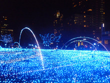 X'mas 夜景とLEDイルミネーション