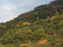 紅葉　富山